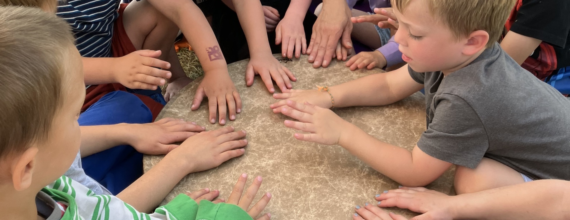 DIY Instruments with Wildarts, Friday October 23, 4:30-5:30pm